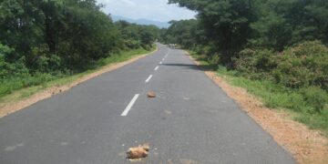 खेळत असलेल्या मुलाच्या हातात काय दिले ? असं विचारले म्हणून एकास दगडाने केली मारहाण वाचा सविस्तर.