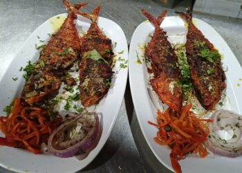 दामोदर बिर्याणी हाऊसमध्ये भरतो ‘फिश महोत्सव’, महोत्सवात अख्खं कुटुंब करत काम…