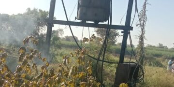 पाडळी येथील वसंत कचरे यांचा तोडणीसाठी आलेला द्राक्षे बाग व शेतीसाठी आणलेलं खतही जळुन खाक, तब्बल 15 – 20 लाखांचे नुकसान.