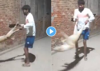 Viral Video: कुत्र्याला पायाला धरुन ” त्याने ” गोल गोल फिरवलं, अन् शेवटी…
