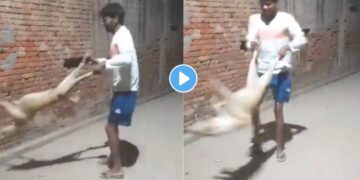 Viral Video: कुत्र्याला पायाला धरुन ” त्याने ” गोल गोल फिरवलं, अन् शेवटी…