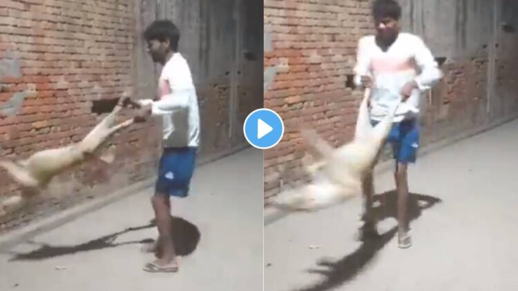 Viral Video: कुत्र्याला पायाला धरुन ” त्याने ” गोल गोल फिरवलं, अन् शेवटी…